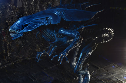 Neca Aliens 15" Figure Xenomorph Queen